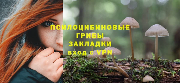 apvp Слюдянка
