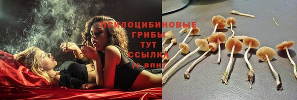 синтетический гашиш Порхов